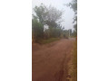 kigali-land-for-sale-in-rebero-small-2