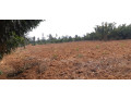 industrial-land-for-sale-in-bugesera-near-airport-of-rwanda-small-2