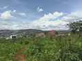 nice-plot-for-sale-in-nyamirambo-604sqm-small-0