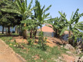 residential-plot-for-sale-in-gisozi-at-60m-small-3