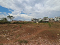 rusororo-small-0