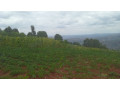 large-plot-for-sale-small-8
