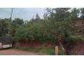plot-for-sale-in-nyamirambo-mumena-small-1