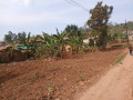 kigali-land-for-sale-in-kimironko-small-4