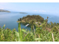 land-for-sale-in-karongi-rwanda-access-on-lake-kivu-small-5