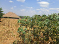 kicukiro-masaka-residential-plot-for-sale-65million-small-1