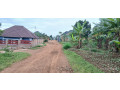 busanza-plot-for-sale-small-0