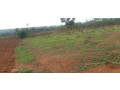 industial-land-for-sale-in-rulindo-on-main-road-small-0