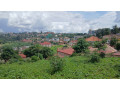 nyarutarama-plot-for-sale-small-1