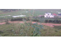 kicukiro-plot-for-sale-small-2
