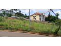 rebero-near-simba-residential-plot-for-sale-500million-small-0