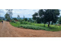 property-for-sale-in-rusororo-small-2