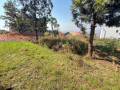 kimironko-plot-for-sale-in-kigali-small-1