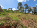 muyange-small-2