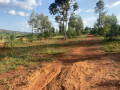 plot-for-sale-in-nyamata-kanazi-small-1