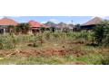 kanombe-nyarugunga-plot-for-sale-small-0