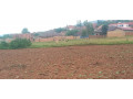 masizi-plot-for-sale-small-7