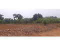 residential-plot-for-sale-in-nyarugenge-kigali-small-0