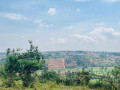 kigali-affordable-residential-plot-for-sale-in-gasogi-small-3