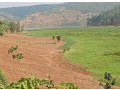 agricultural-land-for-sale-at-gatsibo-small-0