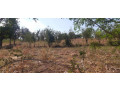 residential-land-for-sale-in-bugesera-mwogo-near-aiport-rwanda-small-1
