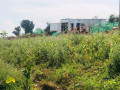 kagugu-batsinda-residential-plot-for-sale-37-million-small-2