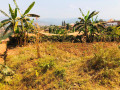 gasanze-plot-for-sale-small-5