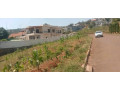 rebero-bnl-residential-plot-for-sale-165-million-small-2