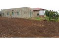 houses-in-a-hectare-of-land-for-sale-in-nyagatovu-mukarange-kayonza-factory-area-small-4