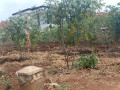 kigali-plot-for-sale-in-kagarama-kicukiro-small-4