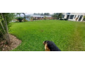kibagabaga-unfurnished-3bedrooms-house-for-rent-at-800k-in-good-location-small-1