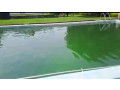 kigali-pool-house-available-for-rent-in-kiyovu-small-7