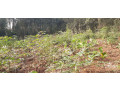 plot-for-sale-in-gacuriro-kigali-rwanda-small-0