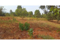 plot-for-sale-in-ndera-on-auctioncyamunara-small-8