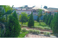 kigali-house-for-sale-in-nyamirambo-small-3