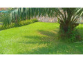 kigali-house-for-sale-in-kiyovu-small-6
