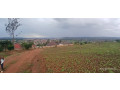 plot-for-sale-in-busanza-at-agood-place-small-0