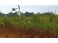 kigali-plot-for-sale-in-gahanga-kicukiro-small-1