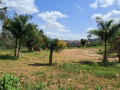 muyange-small-2