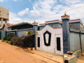 kagugu-65m-small-2
