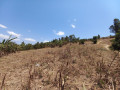 kinyinya-big-land-for-sale-small-10