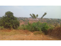 plot-for-sale-in-ndera-on-auctioncyamunara-small-2