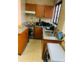 ep-103-remera-remera-gisimentigishushu-nearby-chez-lando-hotel-nice-apartment-for-rent-with-utilities-small-8