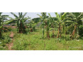 kigali-gasabo-gisasa-plot-for-sale-small-5