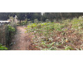 kigali-plot-for-sale-in-gacuriro-small-0