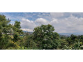 kigali-family-villa-available-for-rent-in-nyarutarama-small-6