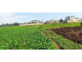plot-for-sale-kinyinya-small-1