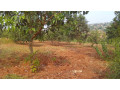 plot-for-sale-in-ndera-on-auctioncyamunara-small-6