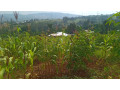 kigali-plot-for-sale-in-gahanga-kicukiro-small-8