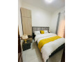 kigali-fully-furnished-apartment-for-rent-in-kagarama-small-8